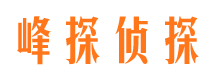 山丹侦探